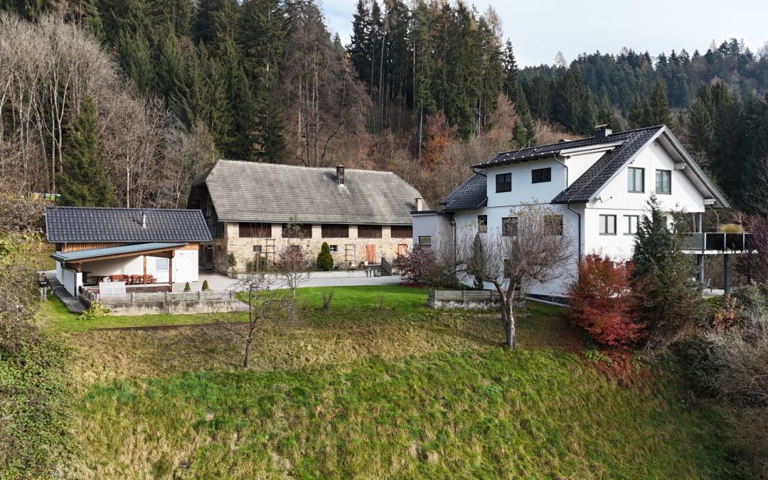 Exklusives Anwesen mit Seezugang in Kärnten — Land‑, Forstwirtschaft und Luxus vereint
