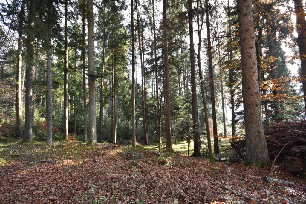 Foto der Immobilie (855)