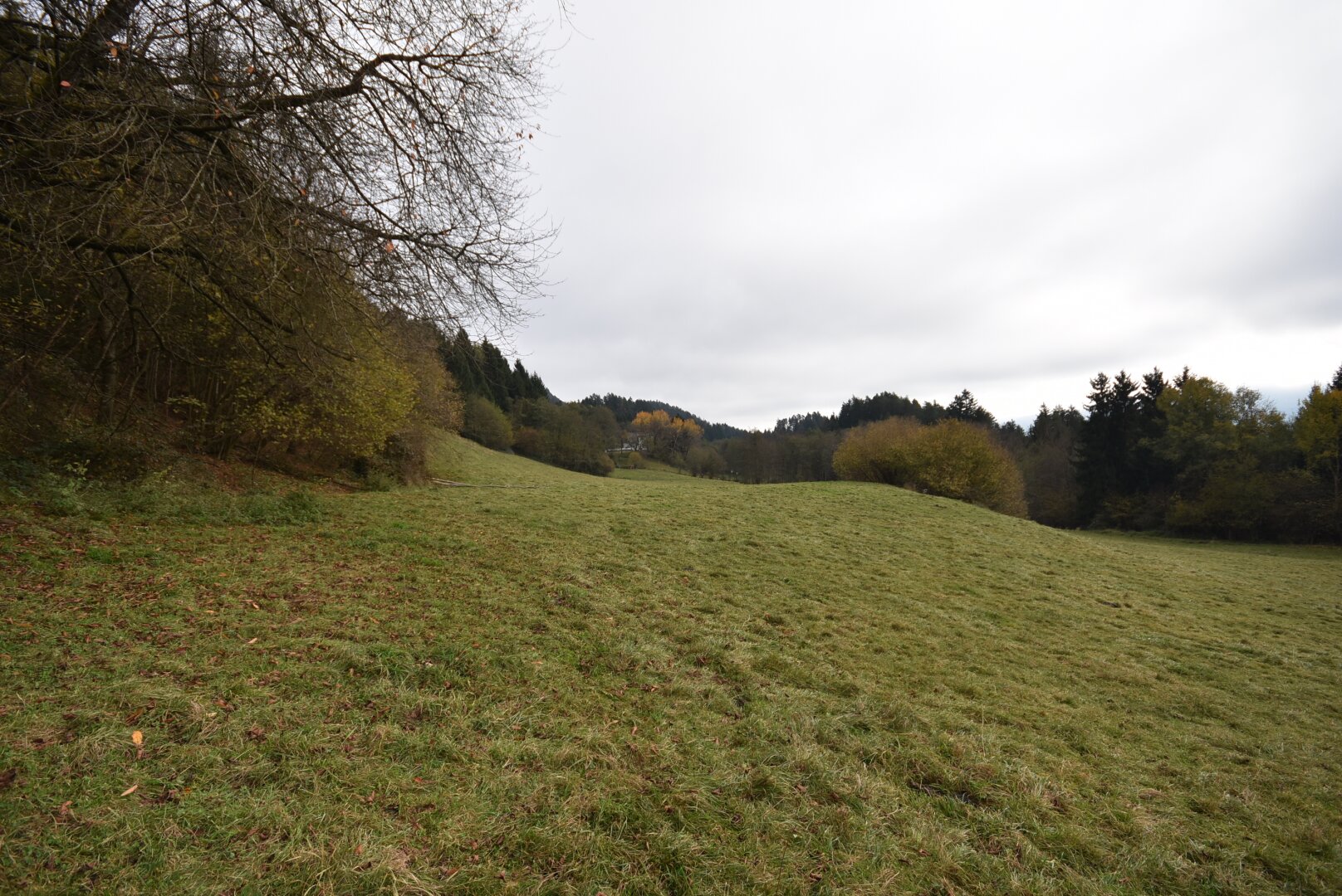Grünflächen
