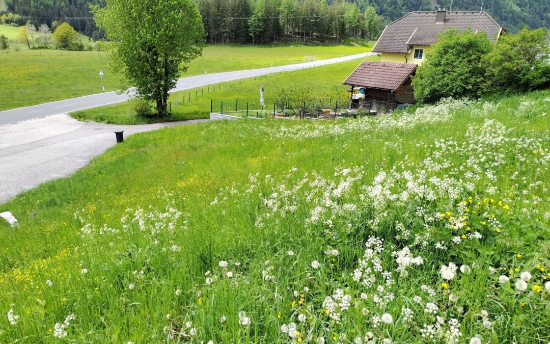 Baugrund mit guter Anbindung und Bergpanorama inmitten des Maltatales